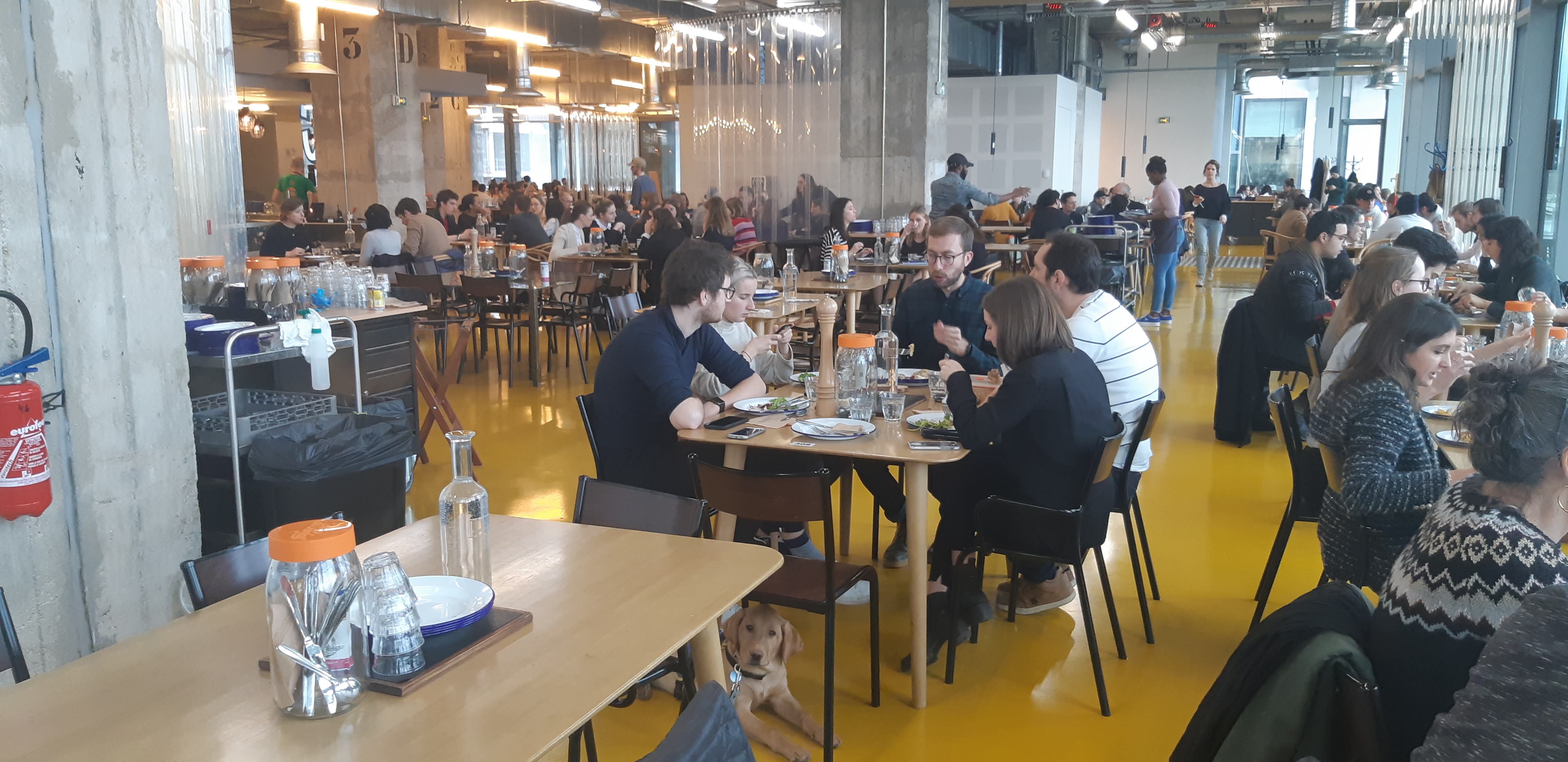 Grande cantine d’entreprise animée, plusieurs tables occupées, un chien visible sous une table au premier plan.
