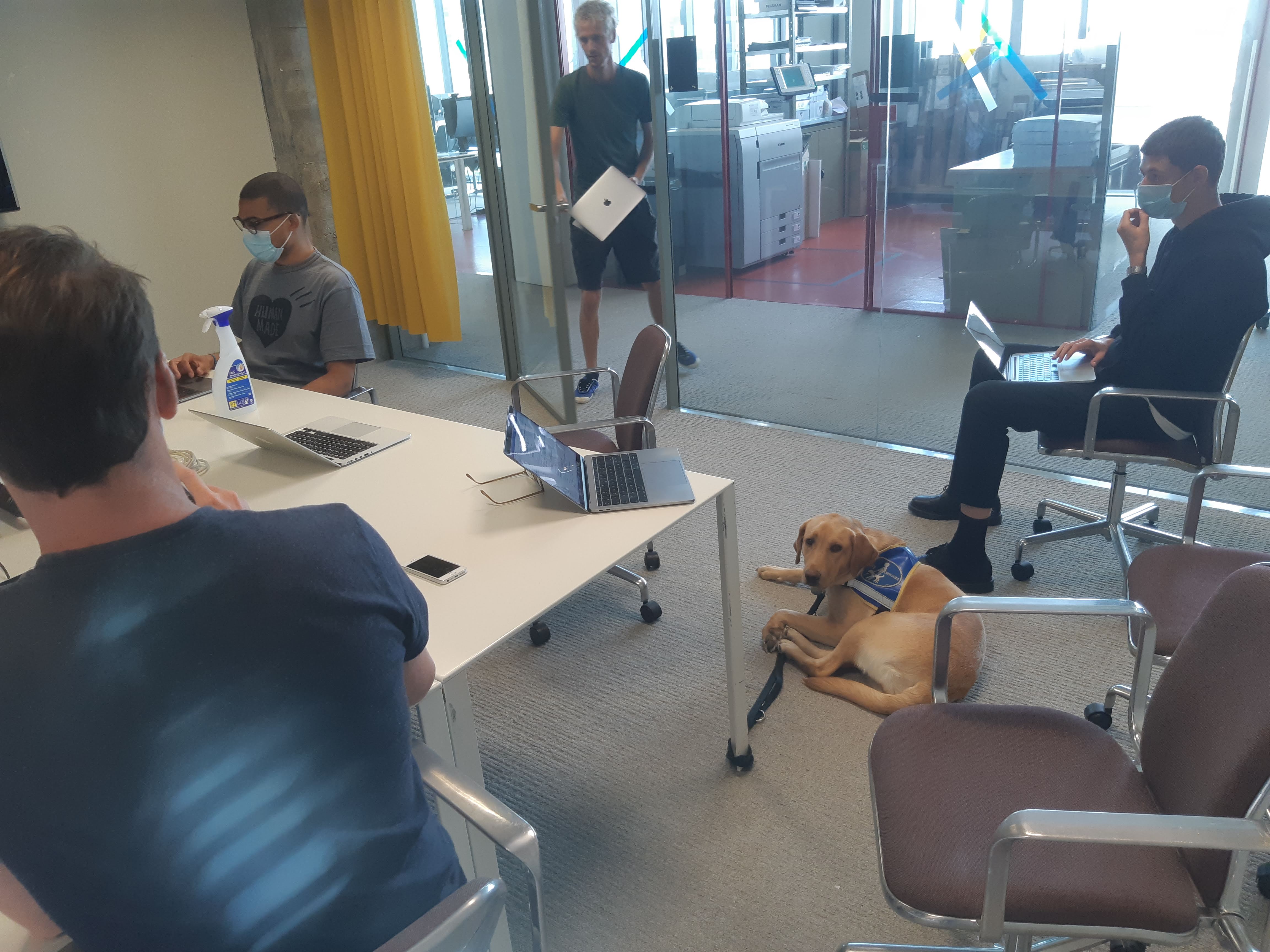 Réunion en petit comité dans une salle vitrée, plusieurs personnes avec ordinateurs portables et chien guide couché au sol.