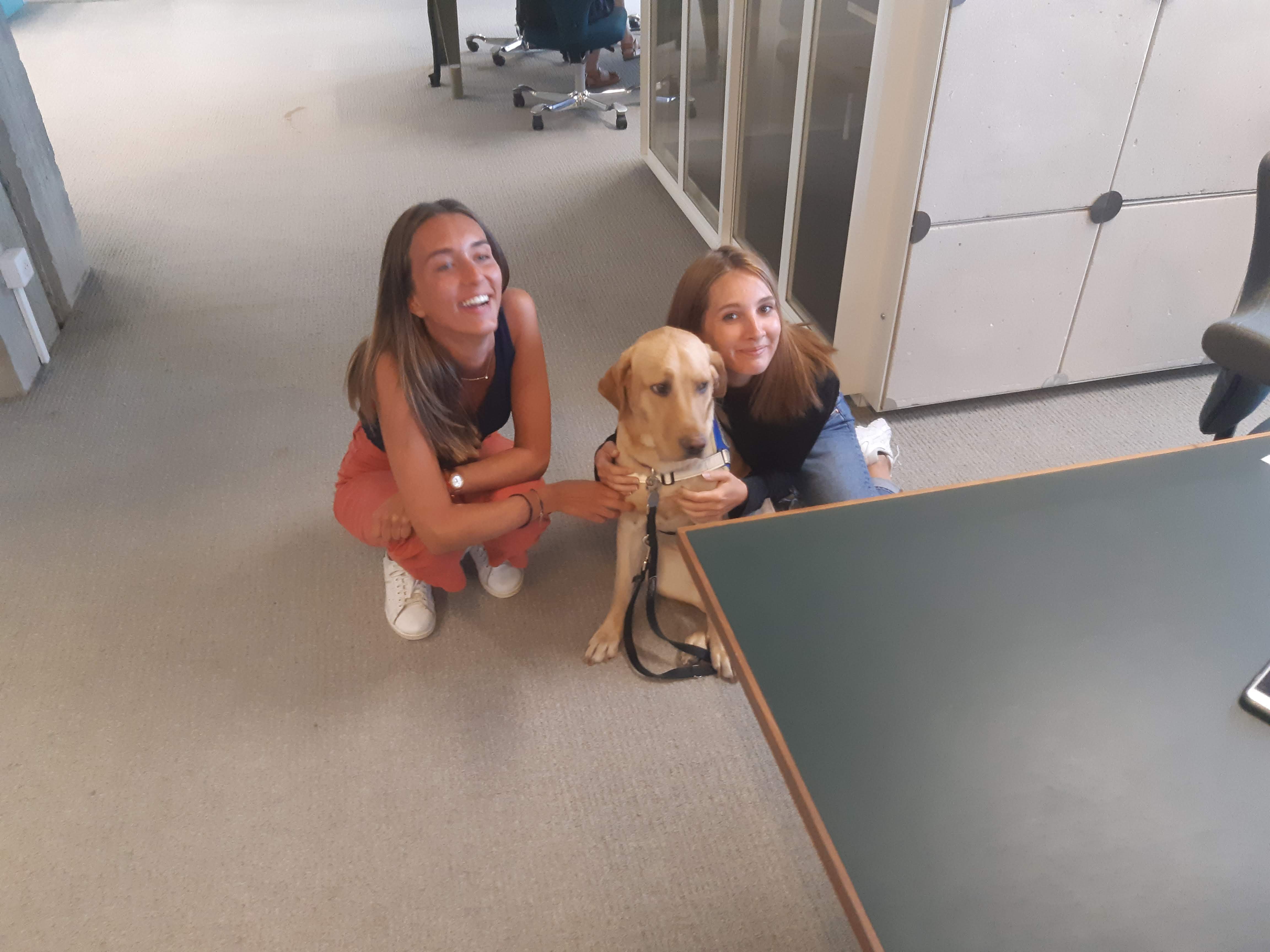Deux femmes accroupies souriant à côté d’un chien guide assis dans un bureau.