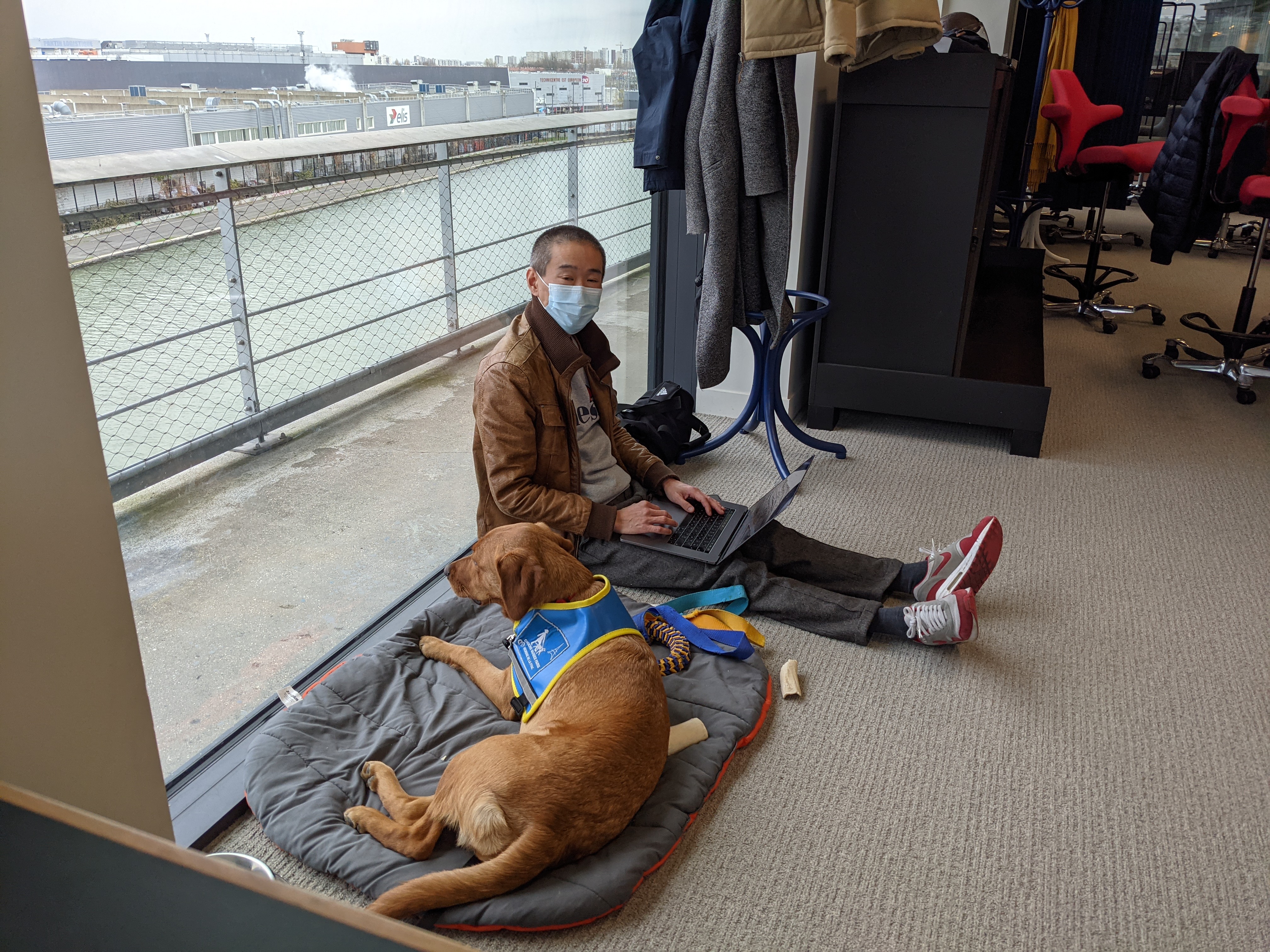 Homme assis au sol avec ordinateur portable près d’une baie vitrée, chien guide allongé sur un coussin à côté de lui.