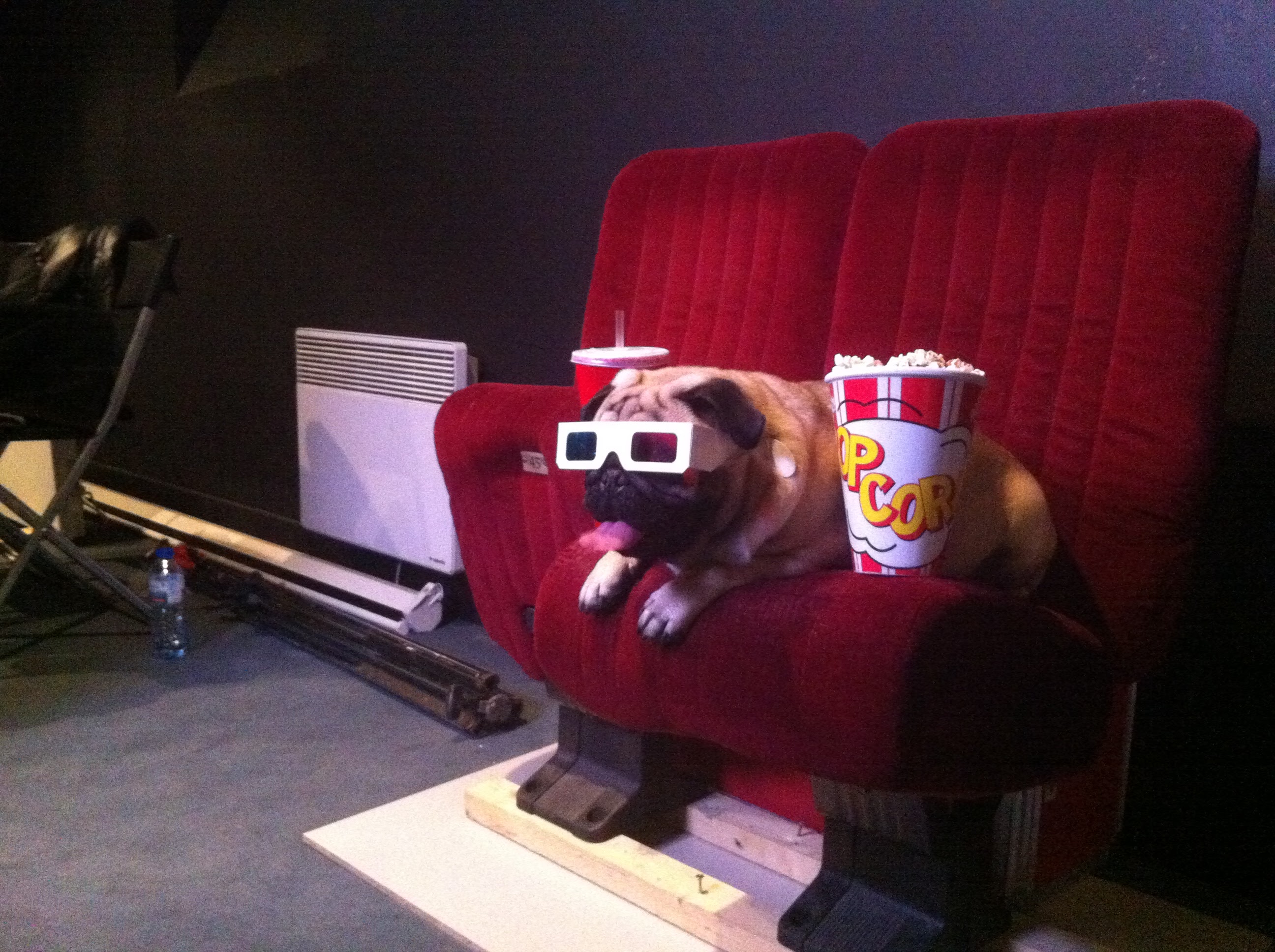 Un chien de race Carlin est assis sur un siège de cinéma avec des lunettes 3D et une boite de popcorn à sa droite, dans un studio de production.